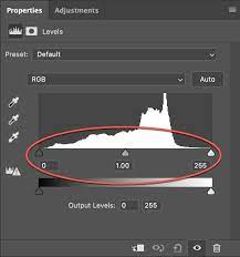 A screen shot of PhotoShop's Levels Tool.