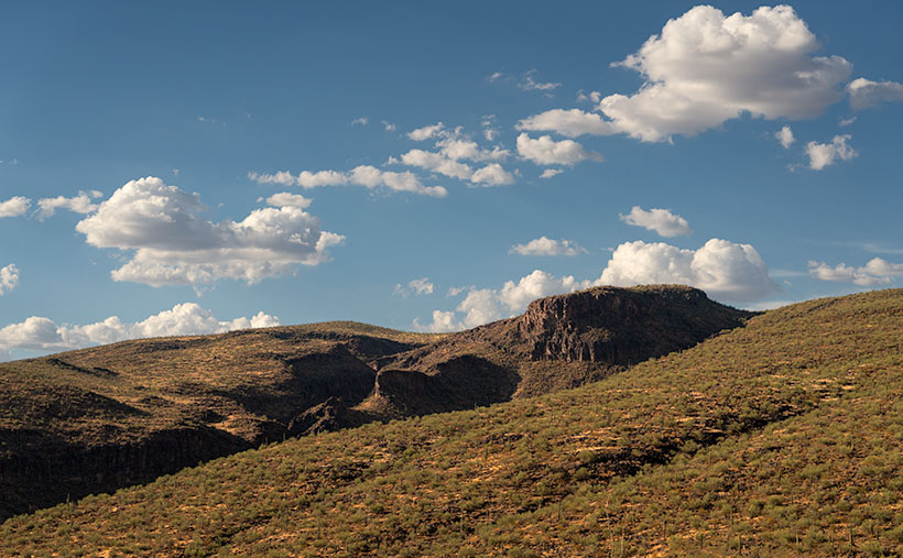 A sun-kissed Arizona landscape showcasing erosion patterns on basalt rock formations, a tear in the earth, and desert flora like Palo Verde and Saguaro.