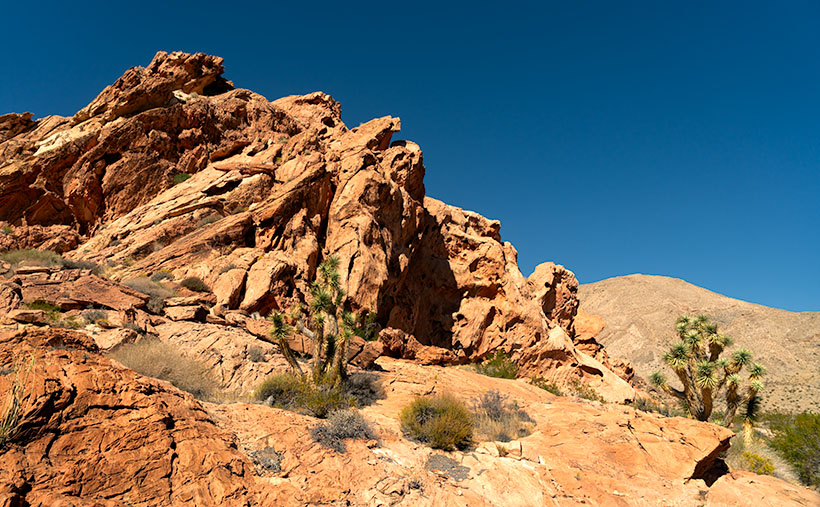 Red oxidized Entrada Sandstone formations at Whitney Pockets, illustrating the geological upthrust in the Mojave Desert landscape.