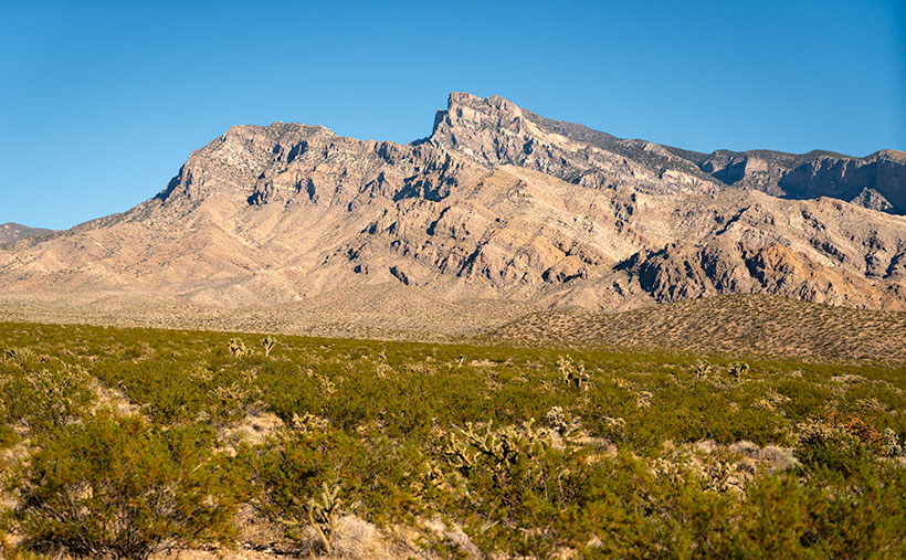 Virgin Peak’s profile with Mohave Desert vegetation on talus slope in Gold Butte National Monument, Nevada.