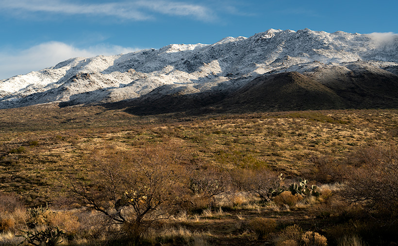 Snow-capped peaks of the Weaver Mountains in the background with desert vegetation in the foreground on a sunny morning.