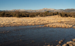 Close-up of a frozen puddle in a frosty field with the Weaver Mountains in the background on a cold Arizona morning