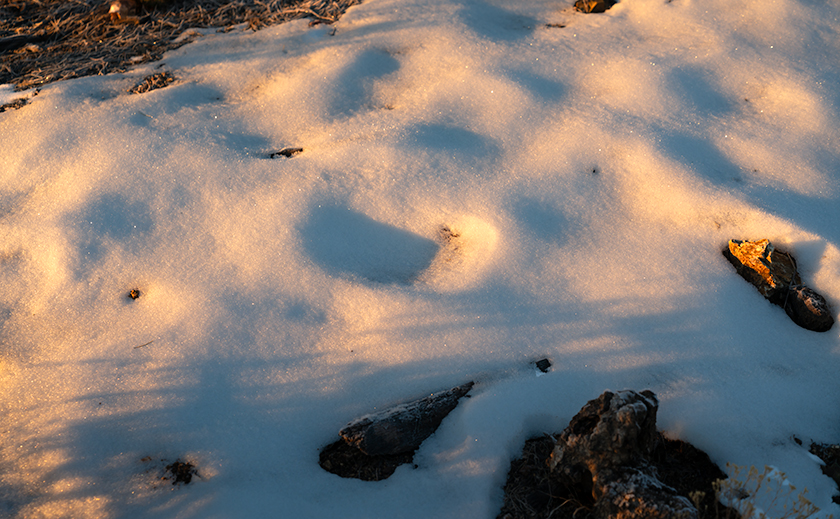 Close-up of morning sunlight highlighting the patterns in a patch of snow in Peeples Valley
