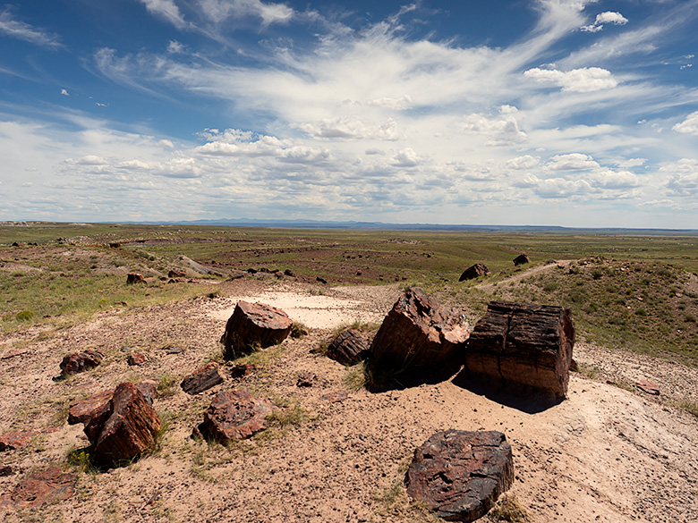 Colorful petrified wood logs under a dramatic sky at Petrified Forest's Rainbow Room with the White Mountains on the horizon