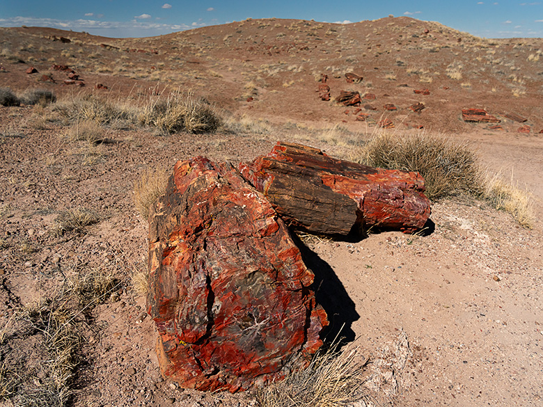 Two vibrant red petrified logs in the middle of Petrified Forest National Park against a desert backdrop