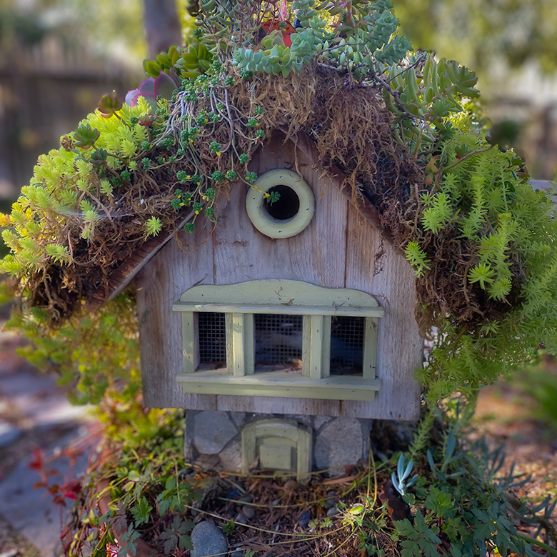 Weathered birdhouse with a roof of succulents and moss, blending into a garden at Cambria Pines Lodge.
