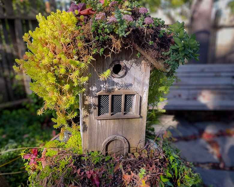 Tall, weathered birdhouse with a roof of succulents and trailing plants in a garden setting at Cambria Pines Lodge.