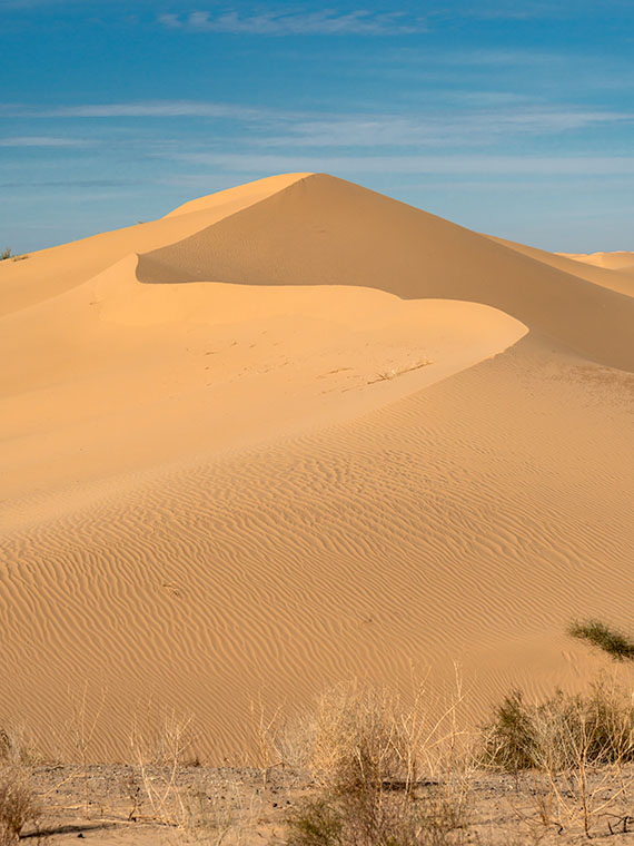 The untouched Algodones Sand Dunes near Glamis, California, in a designated Wilderness Area