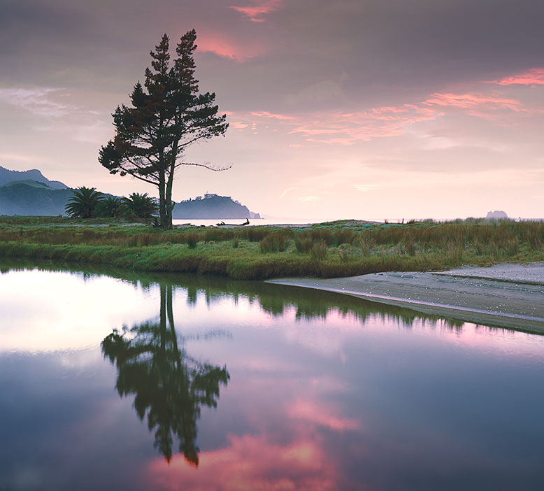 Before coming over the horizon, the sun turns the sky pink at Mercury Bay, New Zealand.