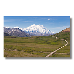 Denali Road