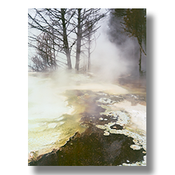 Mamoth Hot Springs bubbeling and steaming in winter.