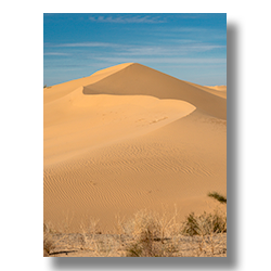 A dune in the Algodones Wilderness area without traces of mankind.