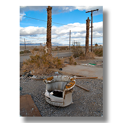 A discarded barrel chair in front of dead palm trees in Sulton City California.