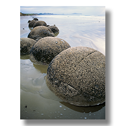 Covered in barnicals, Maroki Balls rest on the beach where the ocean uncovered them.