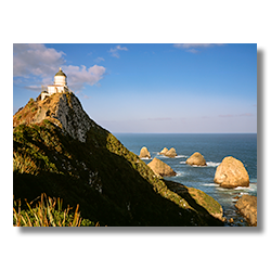 The afternoon light shines on the Nuggets Lighthouse on New Zealand's south isalnd.