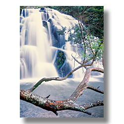 A lovely waterfall beside the highway on the way to the Coromandel Peninsula in New Zealand.