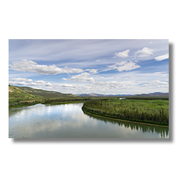 The Yukon River flows around a bend near Carmacks.