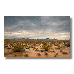 Low clouds and mountains after a monsoon in Bigelow Cholla Garden Wilderness, Needles, California