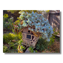 birdhouse3