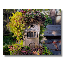 Tall, weathered birdhouse with a roof of succulents and trailing plants in a garden setting at Cambria Pines Lodge.