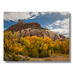 Yellow cottonwood trees in fall below Three Sisters rock formation, Bears Ears NM