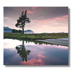 Mercury Bay Sunrise