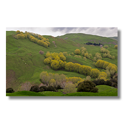 A spring storm threatens rain near Gisborne, New Zealand.