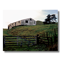 A corregated metal barn roadside near Tahora on New Zealand's north island.