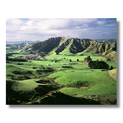 A small farming community in the sand hills of New Zealand's North Island.