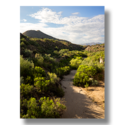 Martinez Creek cuts a gorge through granite near Congress, Arizona.