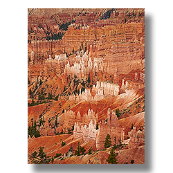 White tips of hoodoos in Bryce Canyon, Utah