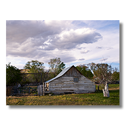 A gray shed on a blustery day taken in Henryville Utah.