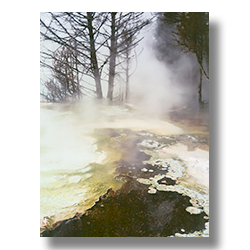 Steam rises from the hot pools at Mamoth Hot Springs in Yellowstone National Park.