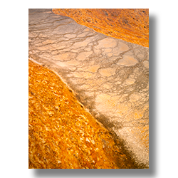 Red algee growing beside a clear flow in one of Yellowstone's hot springs.